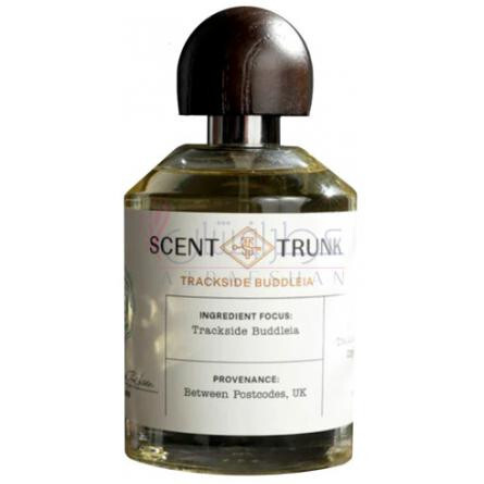 Trackside Buddleia-سنت ترانک ترکساید بادلیا