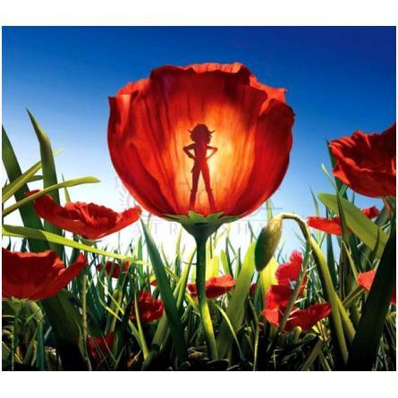 L'Elixir de Selenia-کوتو پارفومز له الکسیر دی سلنیا