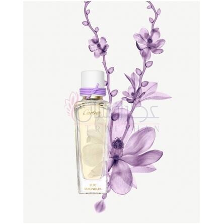 Pur Magnolia-کارتیر پور مگنولیا