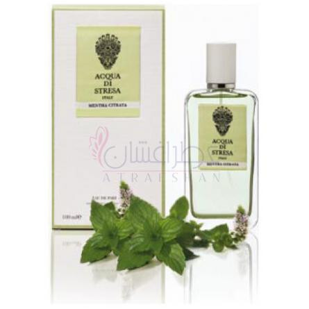 Mentha Citrata-اکوا دی استرسا منتا سیتراتا