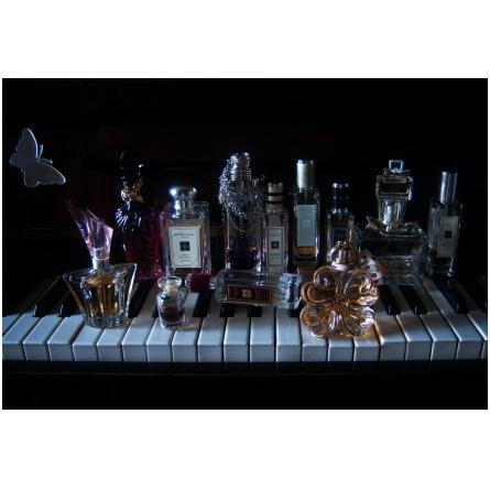 Rock The Ages Geranium & Verbena-جو مالون راک د ایجس ژرانیوم اند وربنا