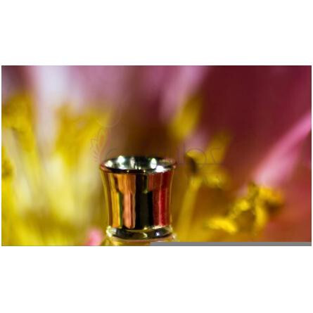 Fame-کوردی فیم