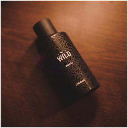 The Wild-لوکسودور د وایلد