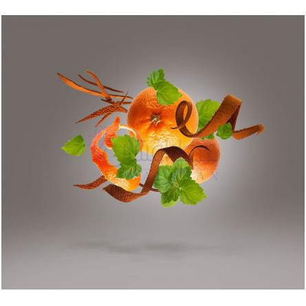 Amphorae 56-زرجوف امفورای 56