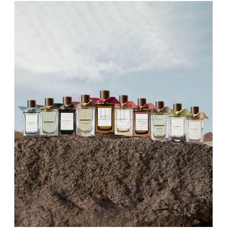 Ash Flower-باربری اش فلاور