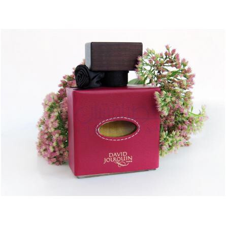 Cuir de R'Eve-دیوید جورکین کویر دی روه