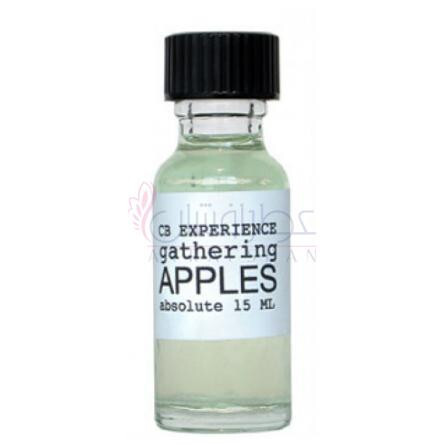 Gathering Apples-سی بی ای هیت پرفیوم گترینگ اپلز
