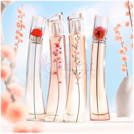 Flower Ikebana Mimosa-کنزو فلاور ایکیبانا میموسا