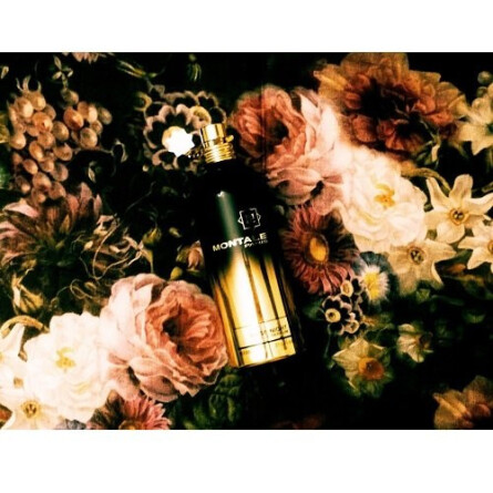 Rose Night-مونتال رز نایت