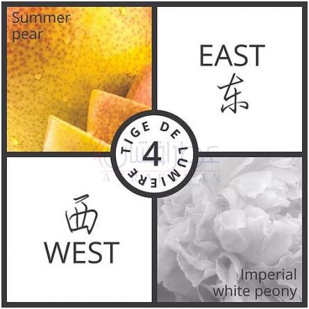 Tige De Lumiere-فسون پارفومز تایگ دی لومیر