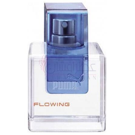 Flowing Man-پوما فلویینگ من