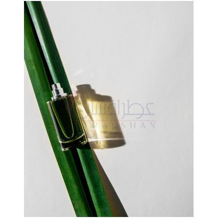 Green Cedar-ابل گرین سدر