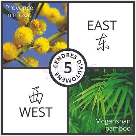 Cendres D'Automne-فسون پارفومز سندرس داوتم