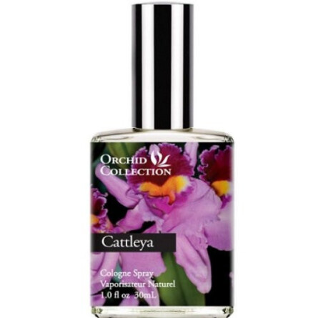 Cattleya Orchid-دیمتر فرگرنس کاتلیا ارکید
