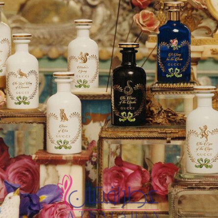 A Kiss From Violet Perfume Oil-گوچی اِ کیس فرام ویولت پرفیوم اویل (اُیل)