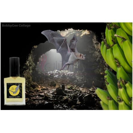 Night Flyer-المپیک ارکیدز ارتیسان پرفیومز نایت فلایر