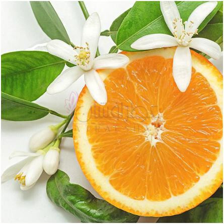 Noces de Nerola-برکورت نوس دی نرولا