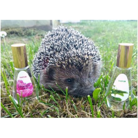 Zhasmin-دیلیس پارفوم جاسمین