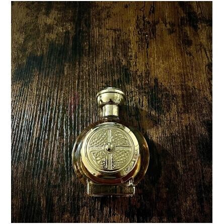 Defender-بودیسی  د ویکتوریوس دیفندر