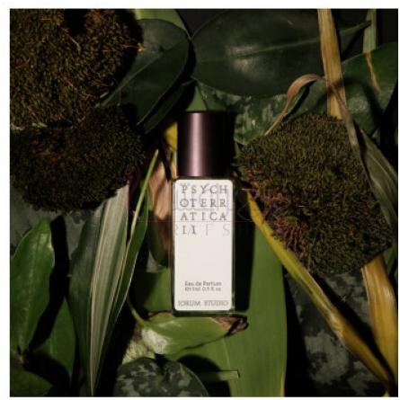 Psychoterratica II 2020-جوروم استودیو سایکوتراتیکا 2 2020