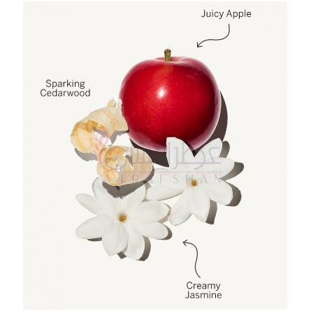 Pink by Pink-ویکتوریا سیکرت پینک