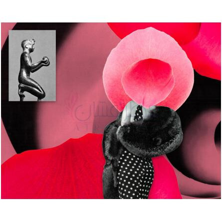 Rosefire-هرمتیکا رز فایر