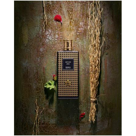 Vetiver Java-پریس مونت کارلو وتیور جاوا