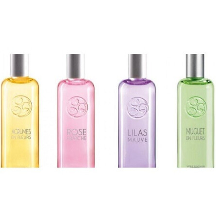 Feuilles de Verveine-ایو روشه فویل د وروین