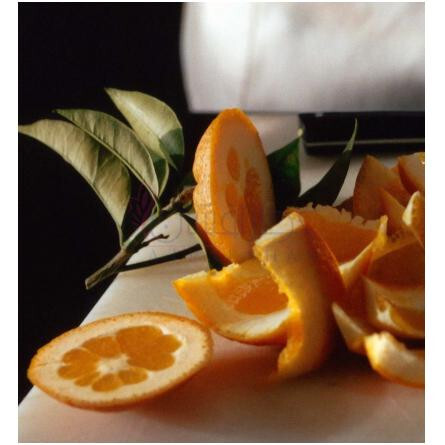 Vanilla Diorama-دیور وانیل دیوراما