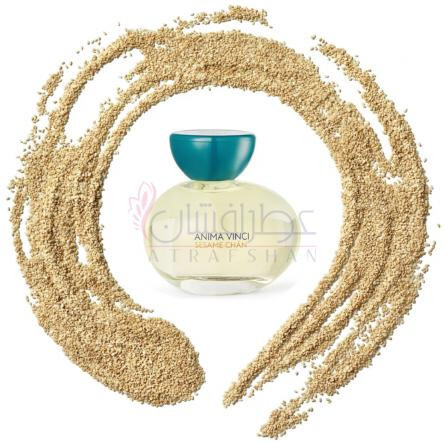 Sesame Chan-انیما وینچی سیسیم چن