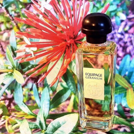 Equipage Geranium-هرمس اکوپج جرنیوم