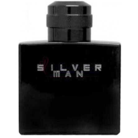 Silver Man-جین آرتس سیلور من