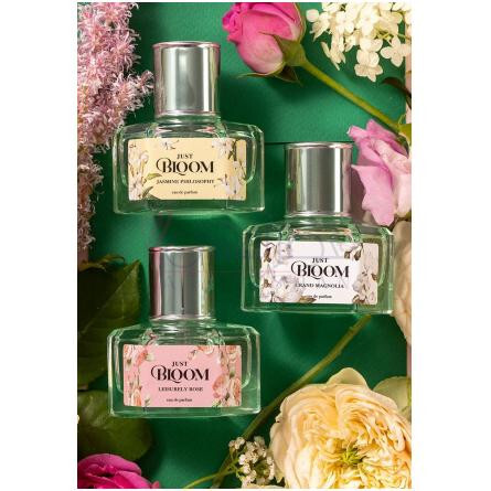 Just Bloom Leisurely Rose-فابرلیک جاست بلوم لژرلی رز