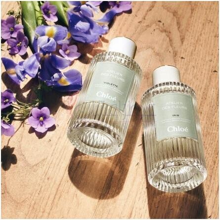 Santalum-کلوهه سانتالوم