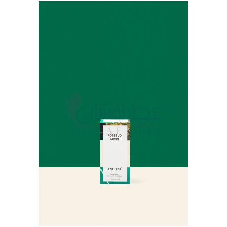 Rosebud Moss-آنکونو رزباد موس