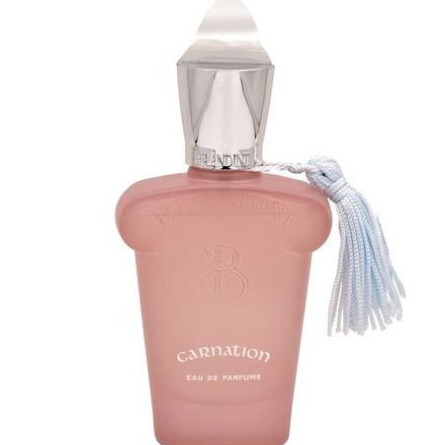Carnation Eau de Perfume BRANDINI-کارنیشن برندینی