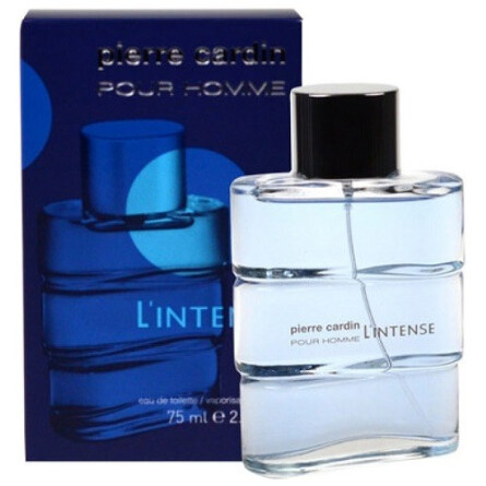 Pierre cardin eau discount de toilette pour homme