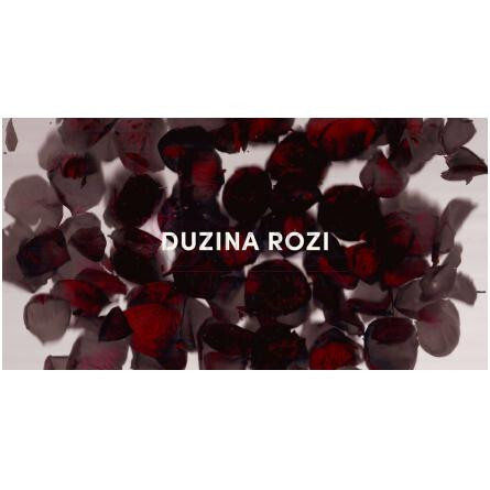 Duzina Rozi- دی اس اند دورگا دوزینا روزی