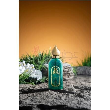 Capella-عطار کالکشن کاپلا