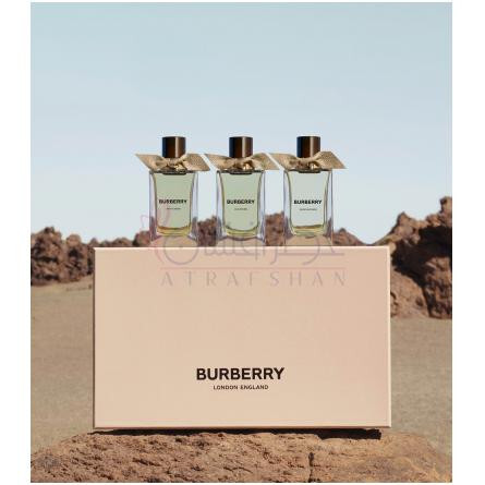 Ash Flower-باربری اش فلاور