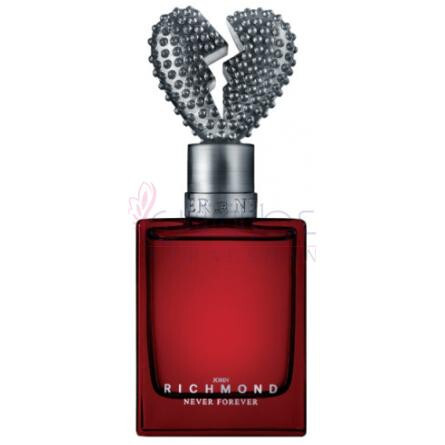 Never Forever-جان ریچموند نور فوراور