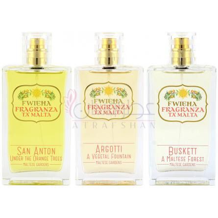 San Anton-اف دبلیو آی ای اچ ای فرگرنزا تامالتا سن انتون