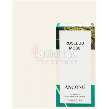 Rosebud Moss-آنکونو رزباد موس