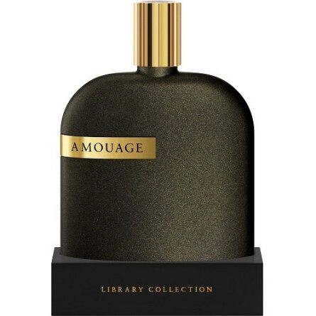 VII 7 AMOUAGE The