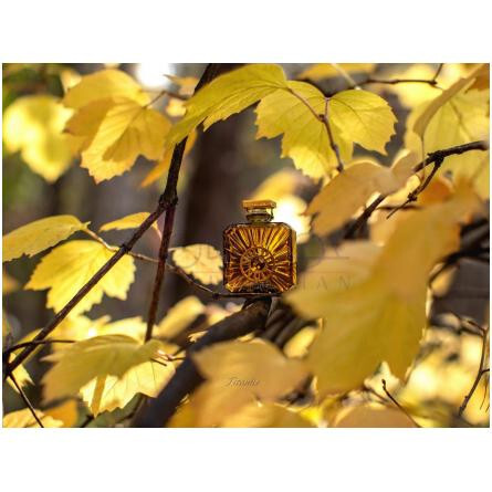 Vol de Nuit Extract-گرلن وول د نویت اکسترکت