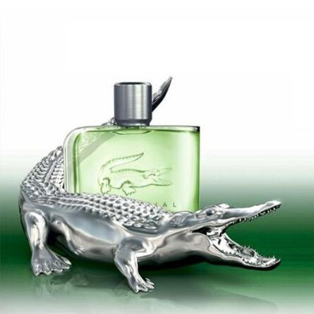 Essential Collector Edition-لاگوست اسنشیال کالکتور ادیشن