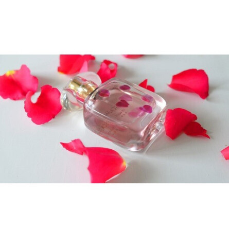 Celebrate N.O.W-اسکادا سلبرت ناو