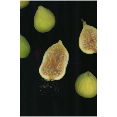 Unusual Fruit-زارا انیوژوال فروت