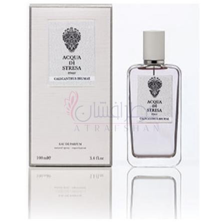 Calycanthus Brumae-اکوا دی استرسا کالی کنتوس برومی