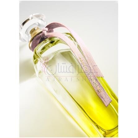 Agua Fresca de Mimosa Coriandro-آدولفو دومینگز اگوا فرسکا دی میموسا کوریاندرو